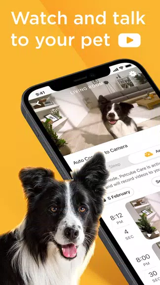 Petcube Screenshot1