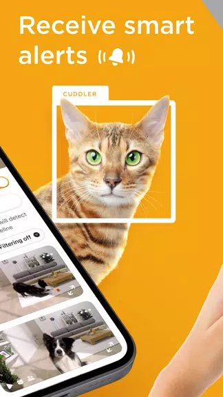 Petcube Screenshot2