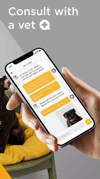 Petcube Screenshot4
