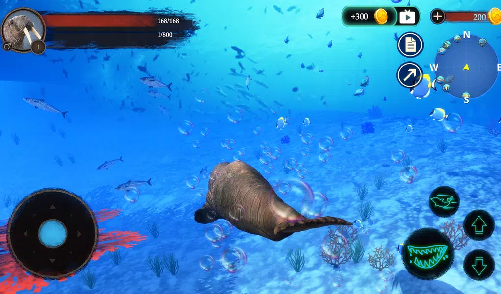 The Warlus Screenshot8