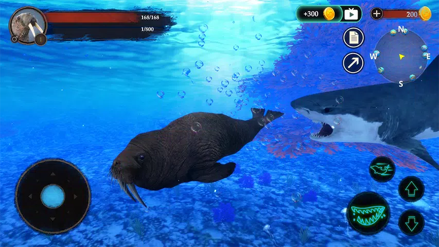 The Warlus Screenshot7