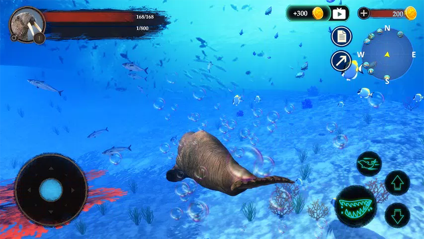 The Warlus Screenshot1