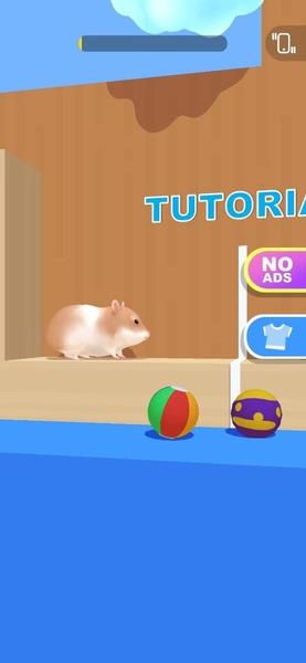 Hamster Maze Screenshot1