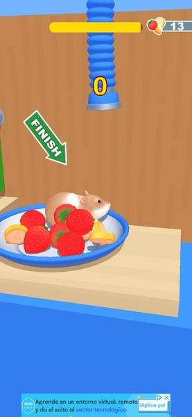 Hamster Maze Screenshot10