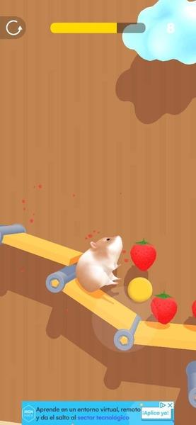 Hamster Maze Screenshot11