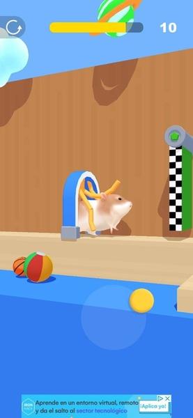 Hamster Maze Screenshot6