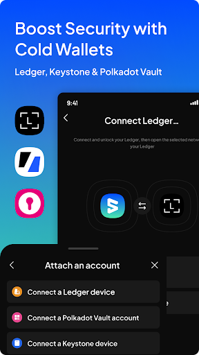 SubWallet Screenshot2
