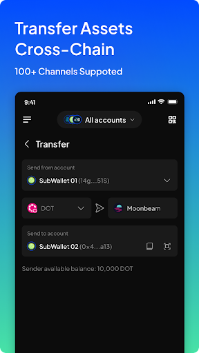 SubWallet Screenshot3