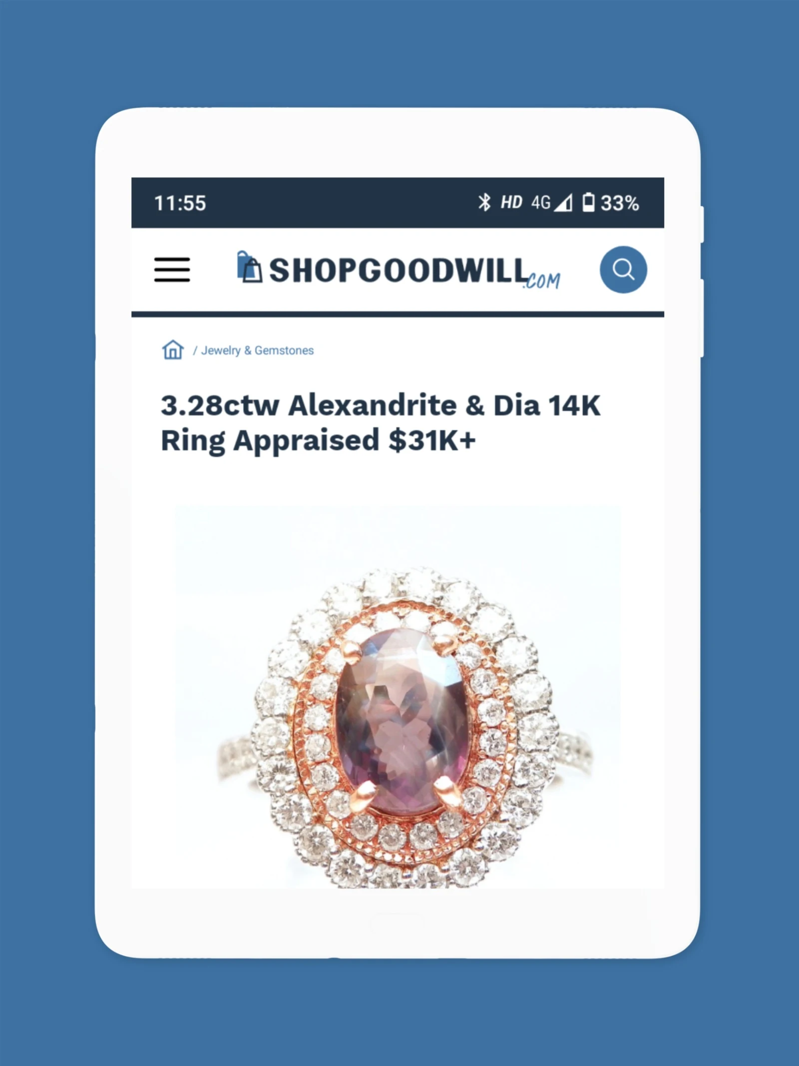 ShopGoodwill Screenshot13