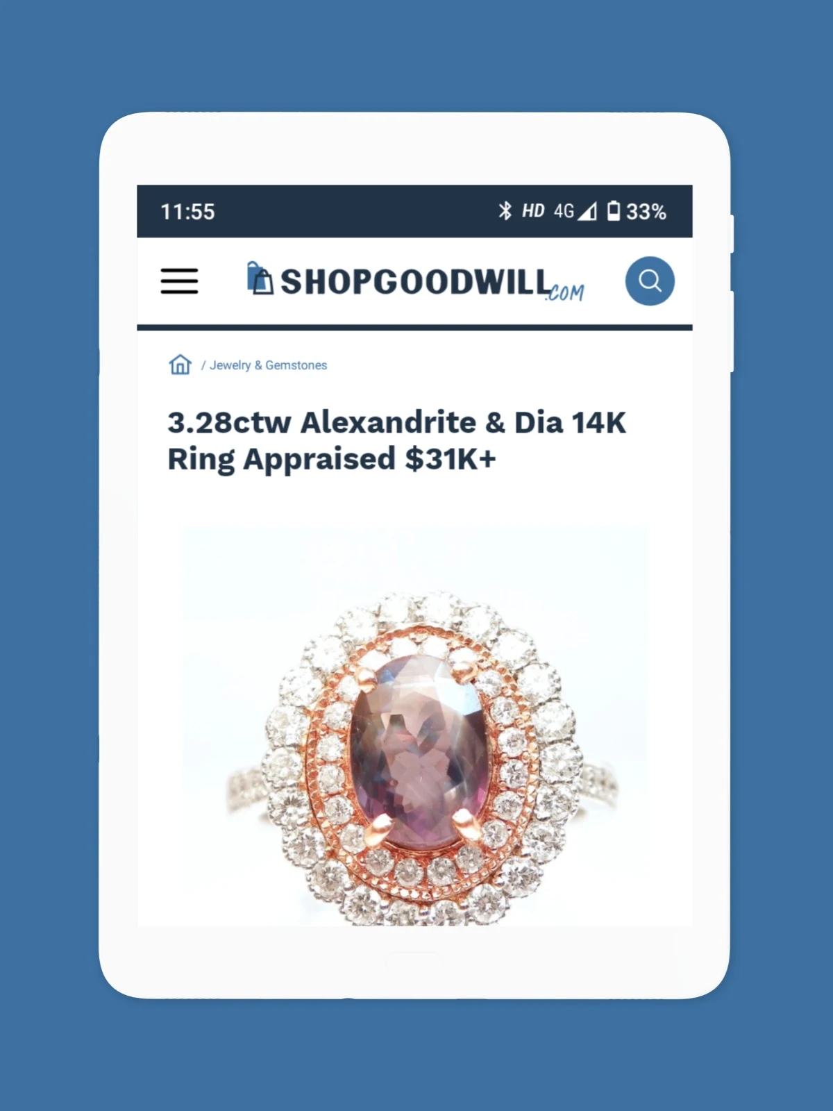 ShopGoodwill Screenshot8