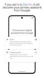 Google Gemini Screenshot4