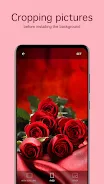 Rose Wallpapers 4K Screenshot4