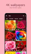 Rose Wallpapers 4K Screenshot2