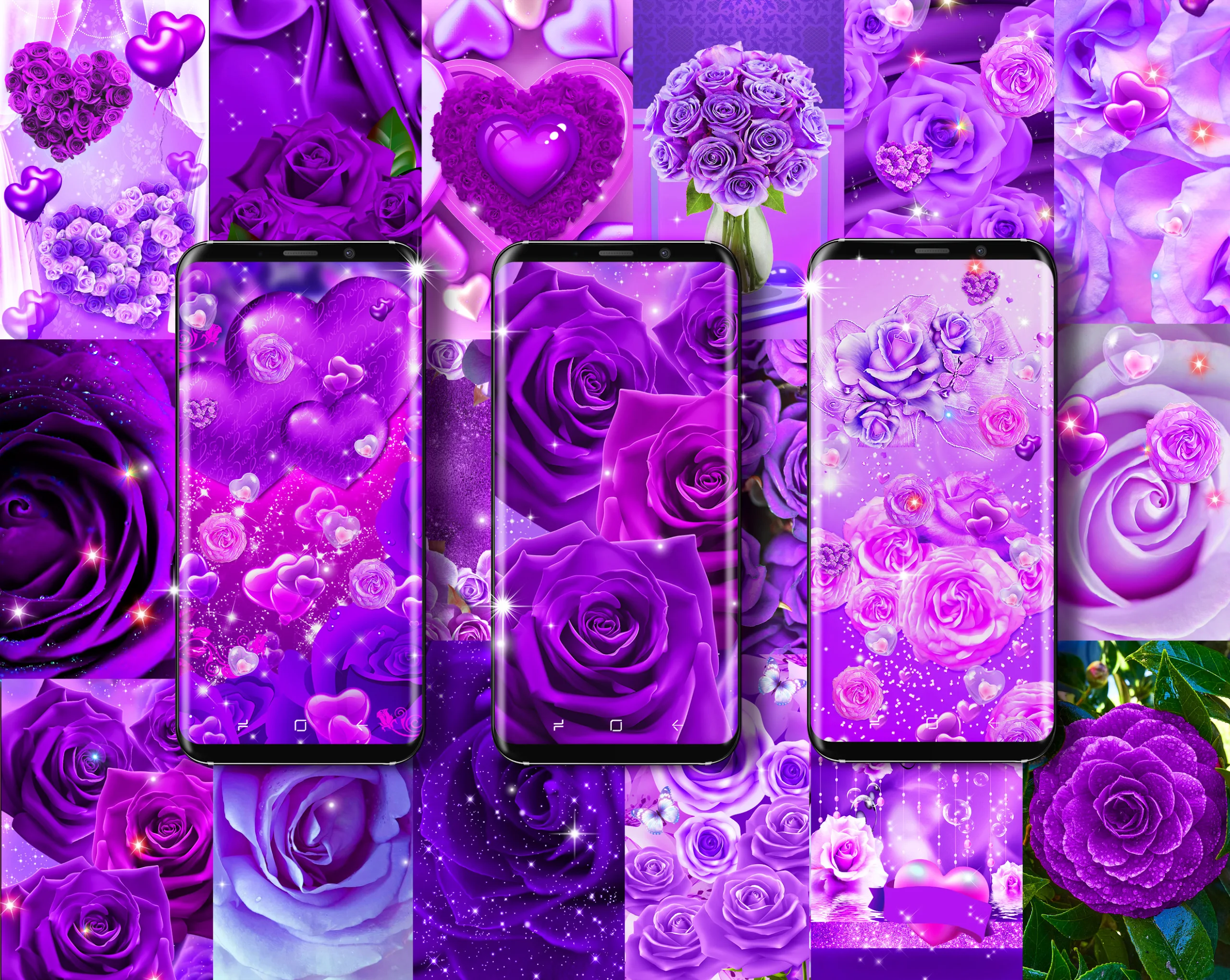 Purple rose live wallpaper Screenshot1