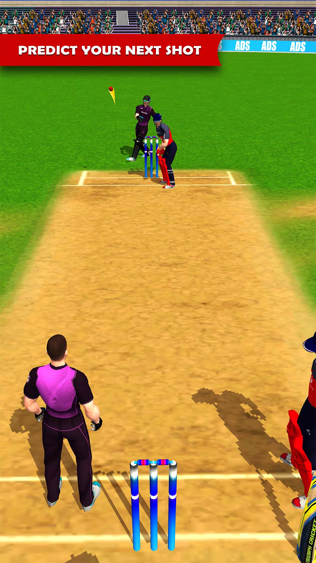 Ludo Cricket Premier League Screenshot3