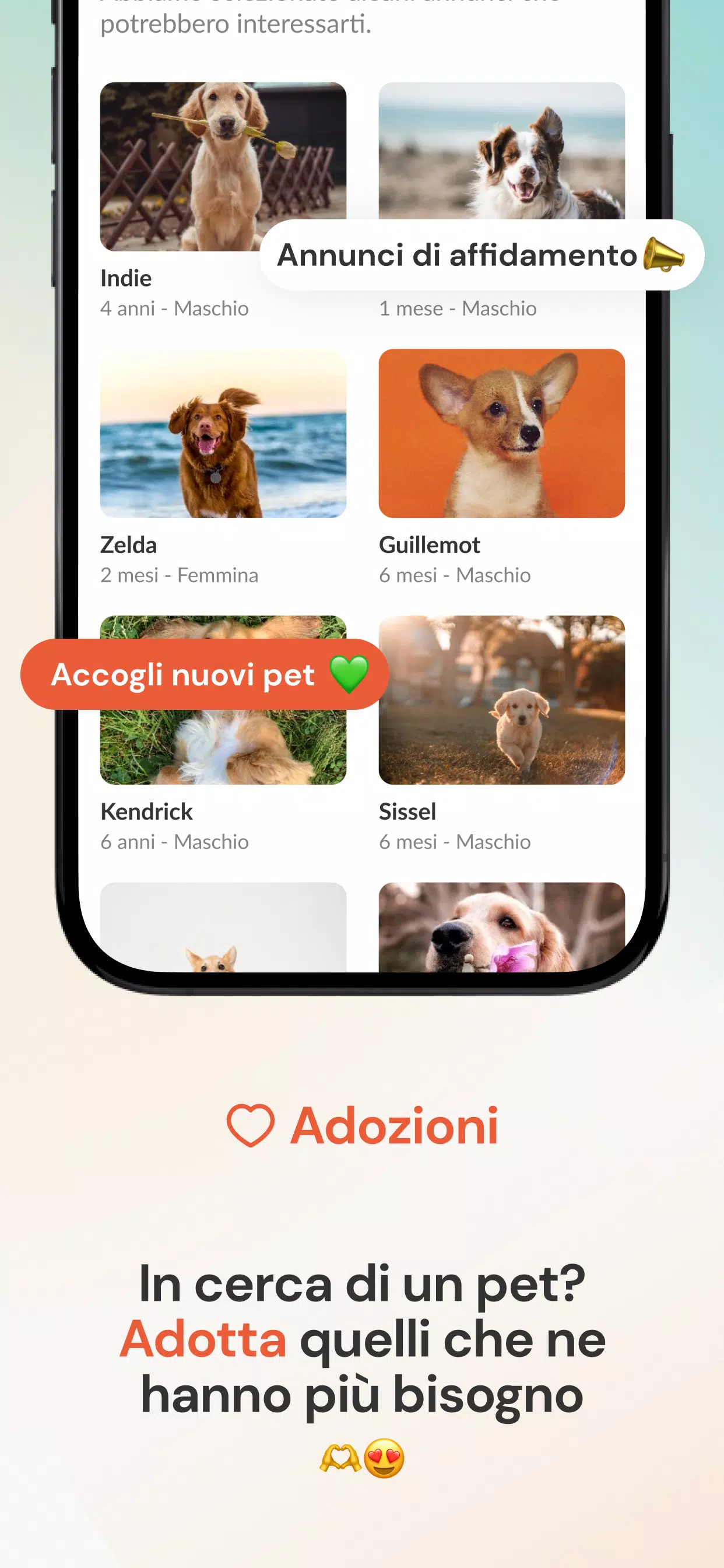Babalù Screenshot7