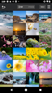 Panasonic LUMIX Sync Screenshot2