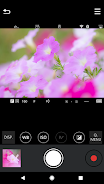 Panasonic LUMIX Sync Screenshot3
