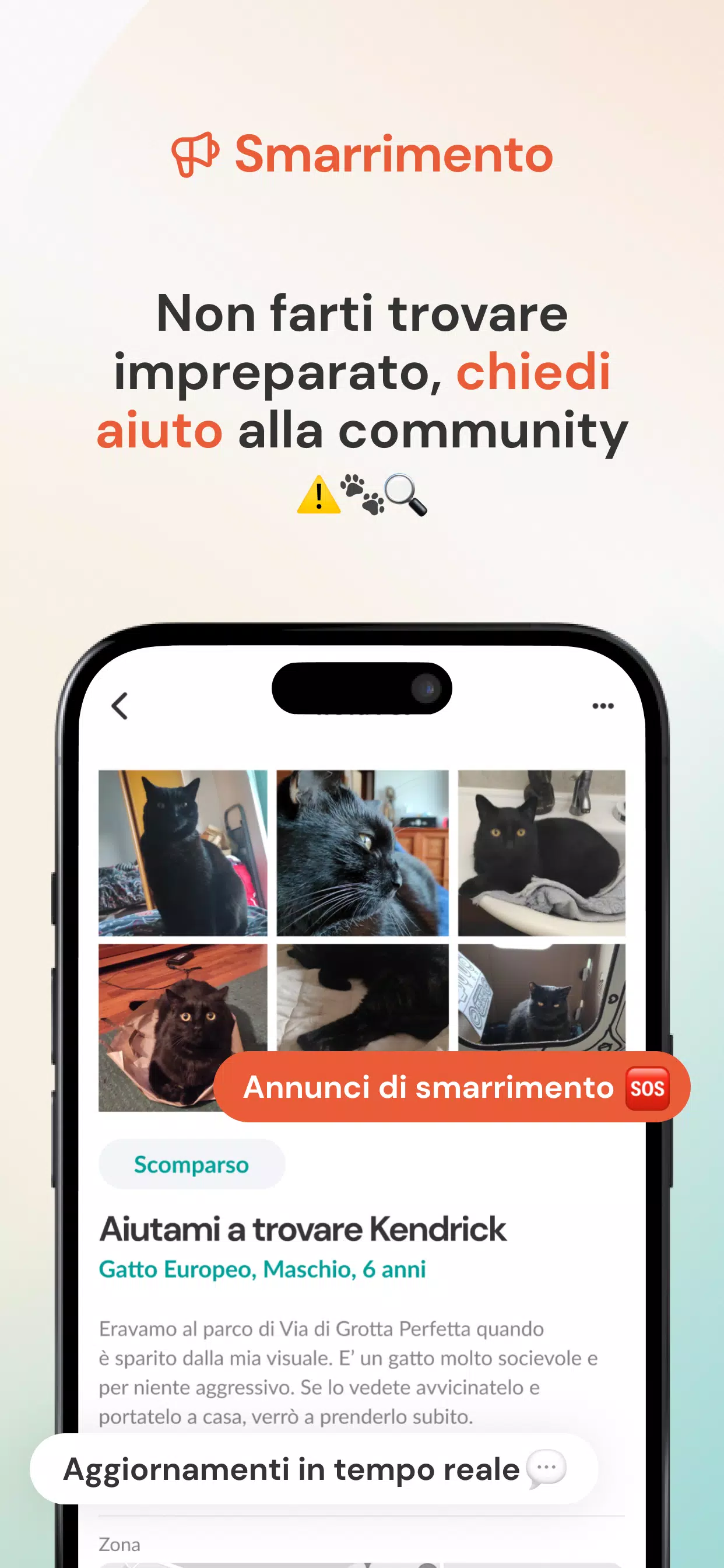 Babalù Screenshot8