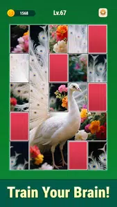 Jigmerge Puzzles Screenshot2