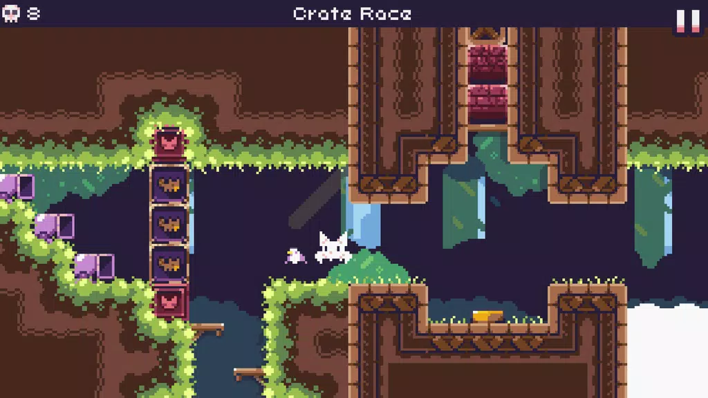 Cat Bird Screenshot4